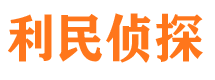 武川调查事务所